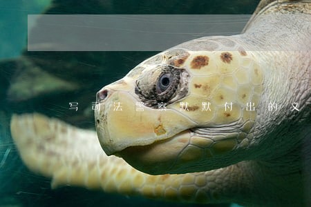 写司法警察默默付出的文章 写司法警察默默付出的文章