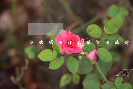 写收据用什么纸写有法律效益