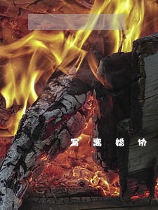 写离婚协议书的注意要点 写离婚协议书的注意要点