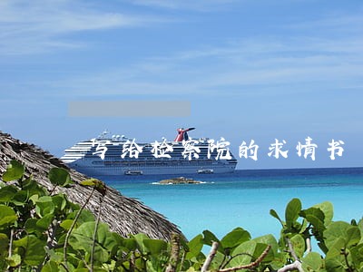 写给检察院的求情书 写给检察院的求情书