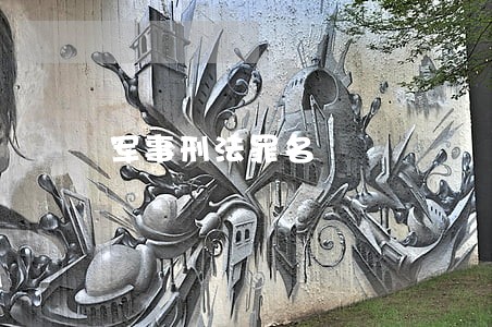 军事刑法罪名 军事刑法罪名