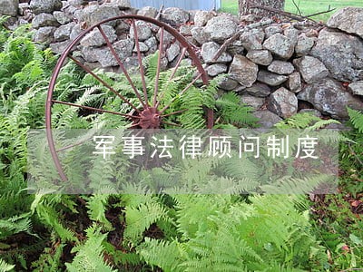 军事法律顾问制度 军事法律顾问制度