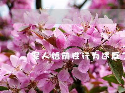 军人婚前性行为违反了什么条例