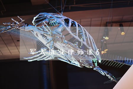 军人执业律师证6 军人执业律师证6