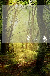军人离婚的手续有哪些 军人离婚的手续有哪些