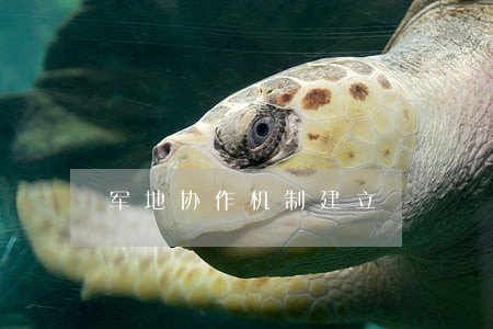 军地协作机制建立 军地协作机制建立