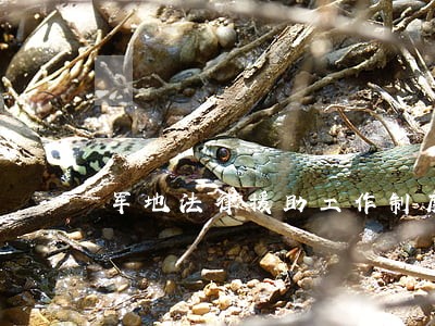 军地法律援助工作制度 军地法律援助工作制度