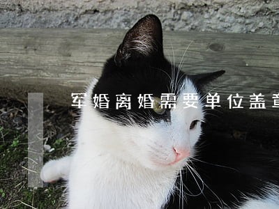 军婚离婚需要单位盖章吗 军婚离婚需要单位盖章吗