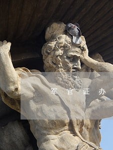 军官证办的信用卡逾期 军官证办的信用卡逾期