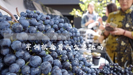 军训被迫剪头发违法吗 军训被迫剪头发违法吗