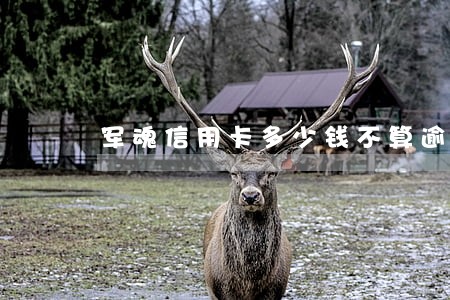 军魂信用卡多少钱不算逾期 军魂信用卡多少钱不算逾期