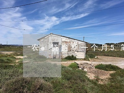 农e贷逾期一个月5笔怎么算 农e贷逾期一个月5笔怎么算