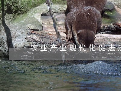农业产业现代化促进法律问题研究 农业产业现代化促进法律问题研究