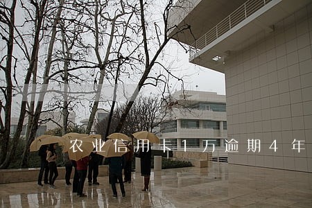 农业信用卡1万逾期4年 农业信用卡1万逾期4年