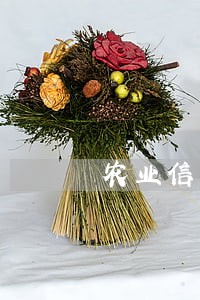 农业信用卡临时款逾期 农业信用卡临时款逾期