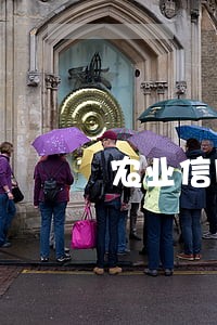 农业信用卡临时逾期