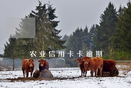 农业信用卡卡逾期