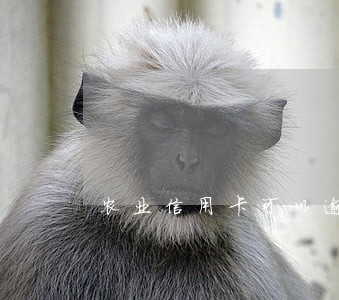 农业信用卡可以逾期多少天 农业信用卡可以逾期多少天