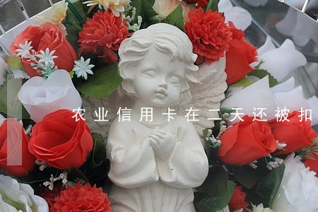 农业信用卡在二天还被扣逾期 农业信用卡在二天还被扣逾期