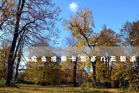 农业信用卡忘还几天算逾期呢 农业信用卡忘还几天算逾期呢