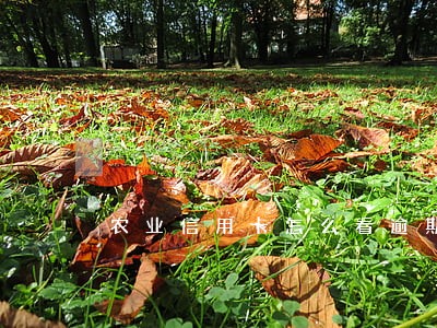 农业信用卡怎么看逾期 农业信用卡怎么看逾期
