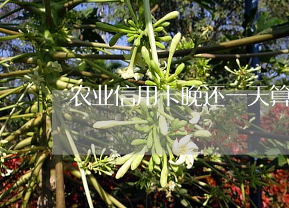 农业信用卡晚还一天算不算逾期 农业信用卡晚还一天算不算逾期