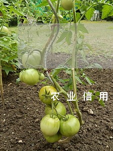 农业信用卡晚还三天算逾期吗 农业信用卡晚还三天算逾期吗