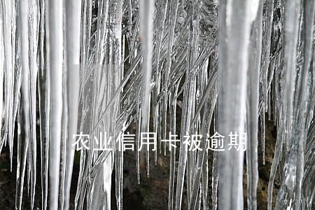 农业信用卡被逾期 农业信用卡被逾期