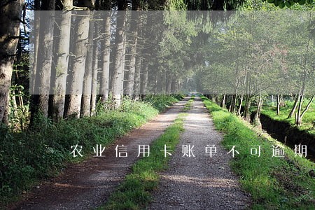 农业信用卡账单不可逾期吗
