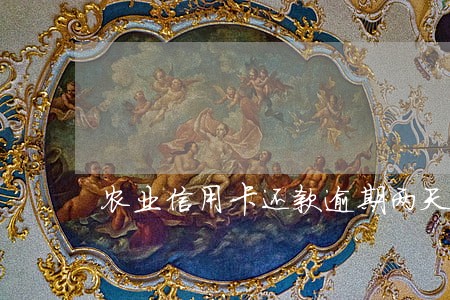 农业信用卡还款逾期两天 农业信用卡还款逾期两天