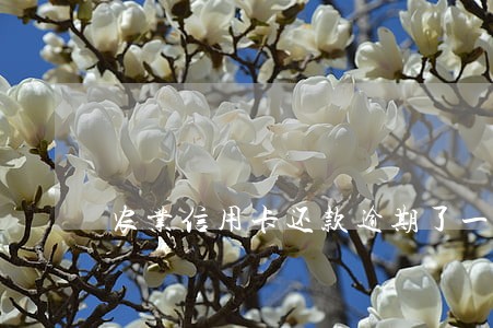 农业信用卡还款逾期了一天
