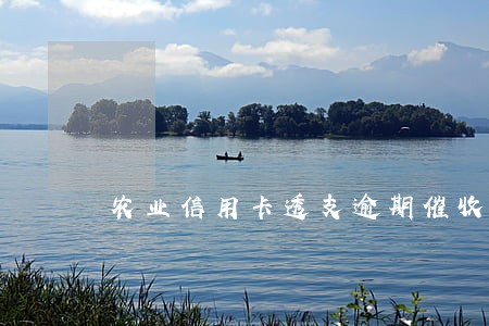 农业信用卡透支逾期催收通知单 农业信用卡透支逾期催收通知单