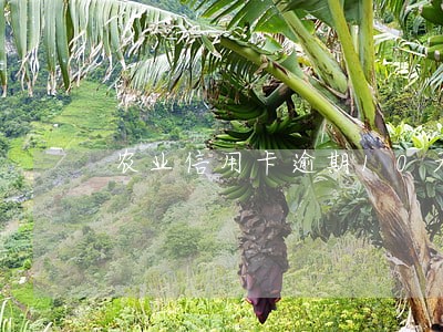 农业信用卡逾期10天没事吧 农业信用卡逾期10天没事吧