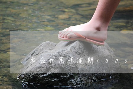 农业信用卡逾期18000 农业信用卡逾期18000