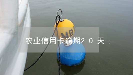 农业信用卡逾期20天