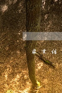 农业信用卡逾期2600 农业信用卡逾期2600