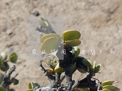 农业信用卡逾期3天 农业信用卡逾期3天