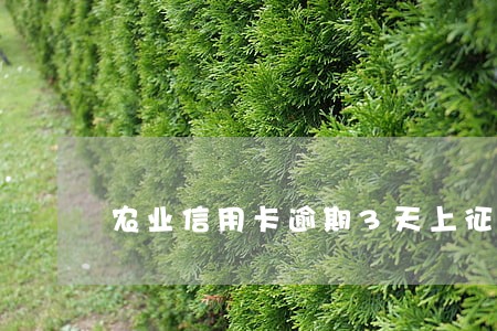 农业信用卡逾期3天上征信了 农业信用卡逾期3天上征信了