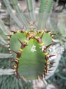 农业信用卡逾期4天上征信吗