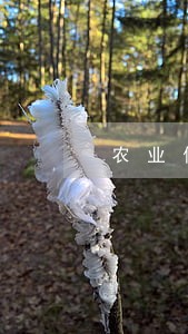 农业信用卡逾期5天
