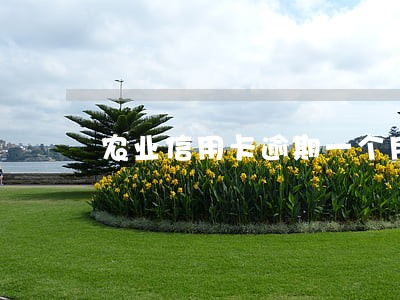 农业信用卡逾期一个月怎么办 农业信用卡逾期一个月怎么办