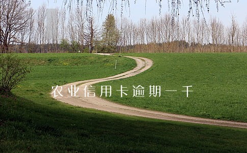 农业信用卡逾期一千 农业信用卡逾期一千