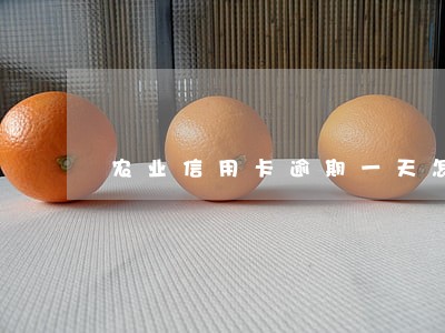农业信用卡逾期一天怎么算 农业信用卡逾期一天怎么算