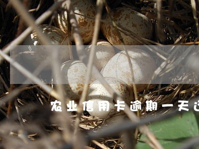 农业信用卡逾期一天还款后果 农业信用卡逾期一天还款后果