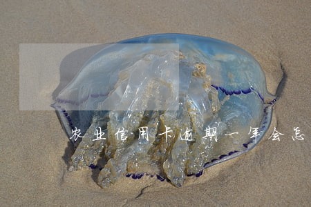 农业信用卡逾期一年会怎么样 农业信用卡逾期一年会怎么样