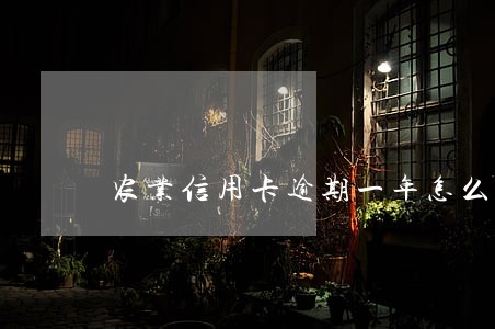 农业信用卡逾期一年怎么办 农业信用卡逾期一年怎么办