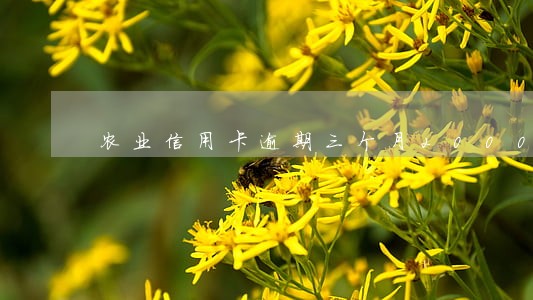 农业信用卡逾期三个月2000 农业信用卡逾期三个月2000
