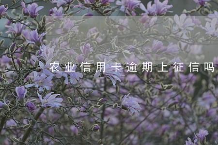农业信用卡逾期上征信吗