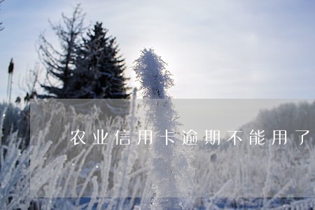 农业信用卡逾期不能用了
