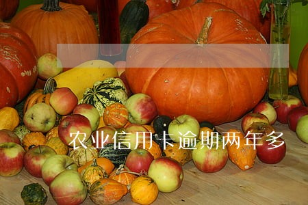 农业信用卡逾期两年多